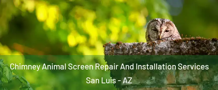  Chimney Animal Screen Repair And Installation Services San Luis - AZ