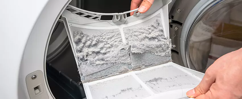 Best Dryer Lint Removal Company in San Luis, Arizona
