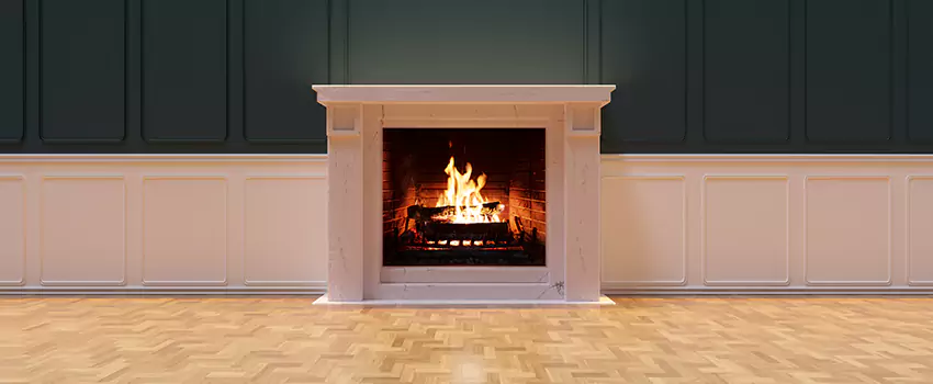 Napoleon Electric Fireplaces Inspection Service in San Luis, Arizona