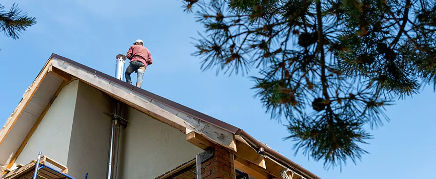 Birds Removal Contractors from Chimney in San Luis, AZ
