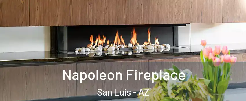  Napoleon Fireplace San Luis - AZ